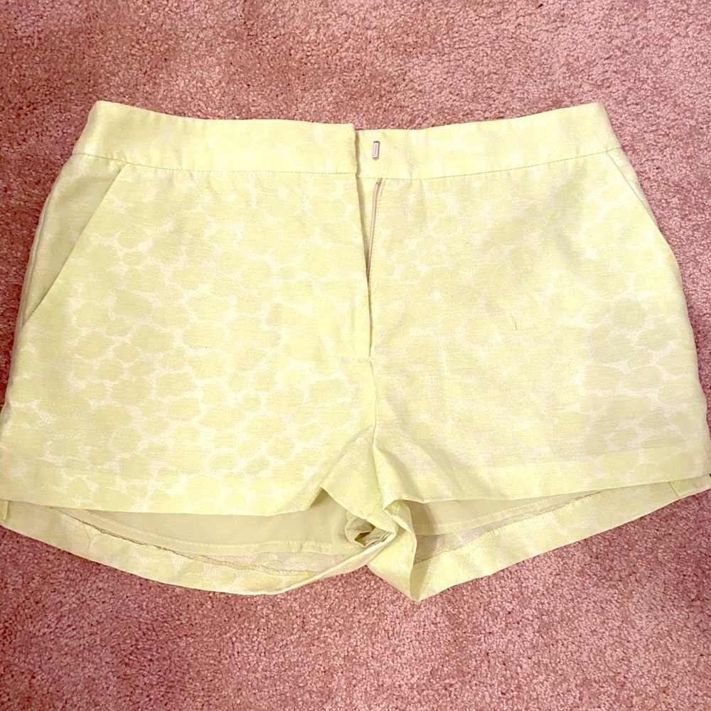 H&M Conscious Collection Green Jacquard Short